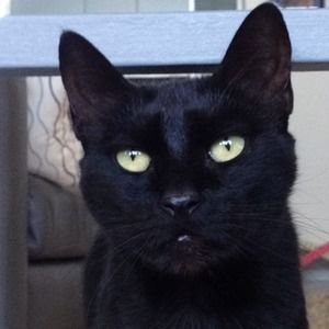 Meet your Posher, Faith